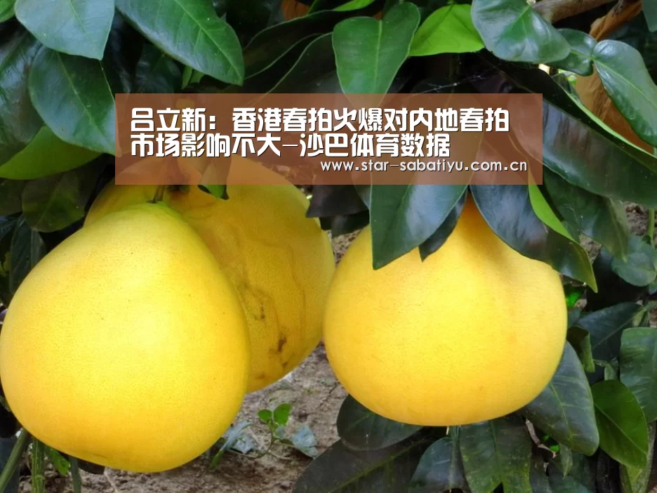 吕立新:香港春拍火爆对内地春拍市场影响不大-沙巴体育数据(图1) 沙巴体育官网
