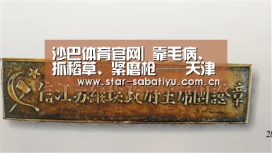 沙巴体育官网|
靠毛病、抓稻草、紧磨枪——天津泰达一波操作直指保级(图1) 沙巴体育