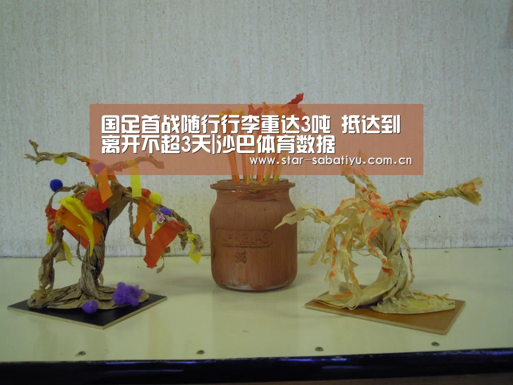国足首战随行行李重达3吨 抵达到离开不超3天|沙巴体育数据(图2) 沙巴体育数据