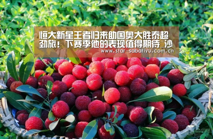 恒大新星王者归来助国奥大胜泰超劲旅!下赛季他的表现值得期待_沙巴体育数据(图2) 沙巴体育数据