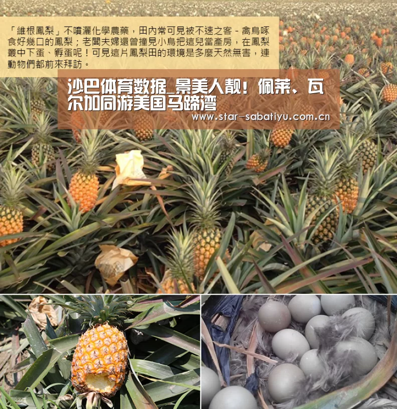 沙巴体育数据_景美人靓!佩莱、瓦尔加同游美国马蹄湾(图2) 沙巴体育官网