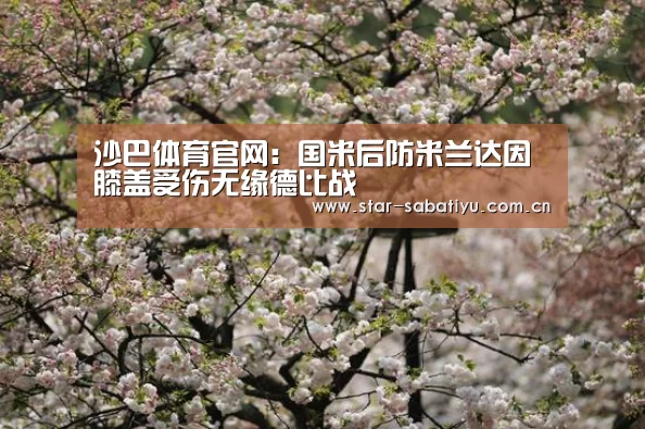 沙巴体育app