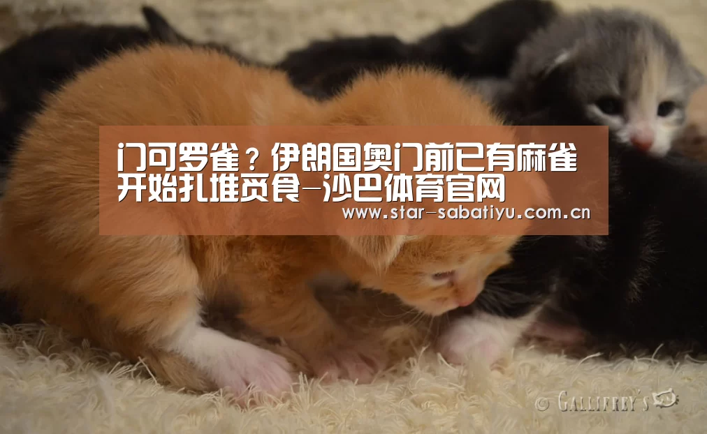 沙巴体育app